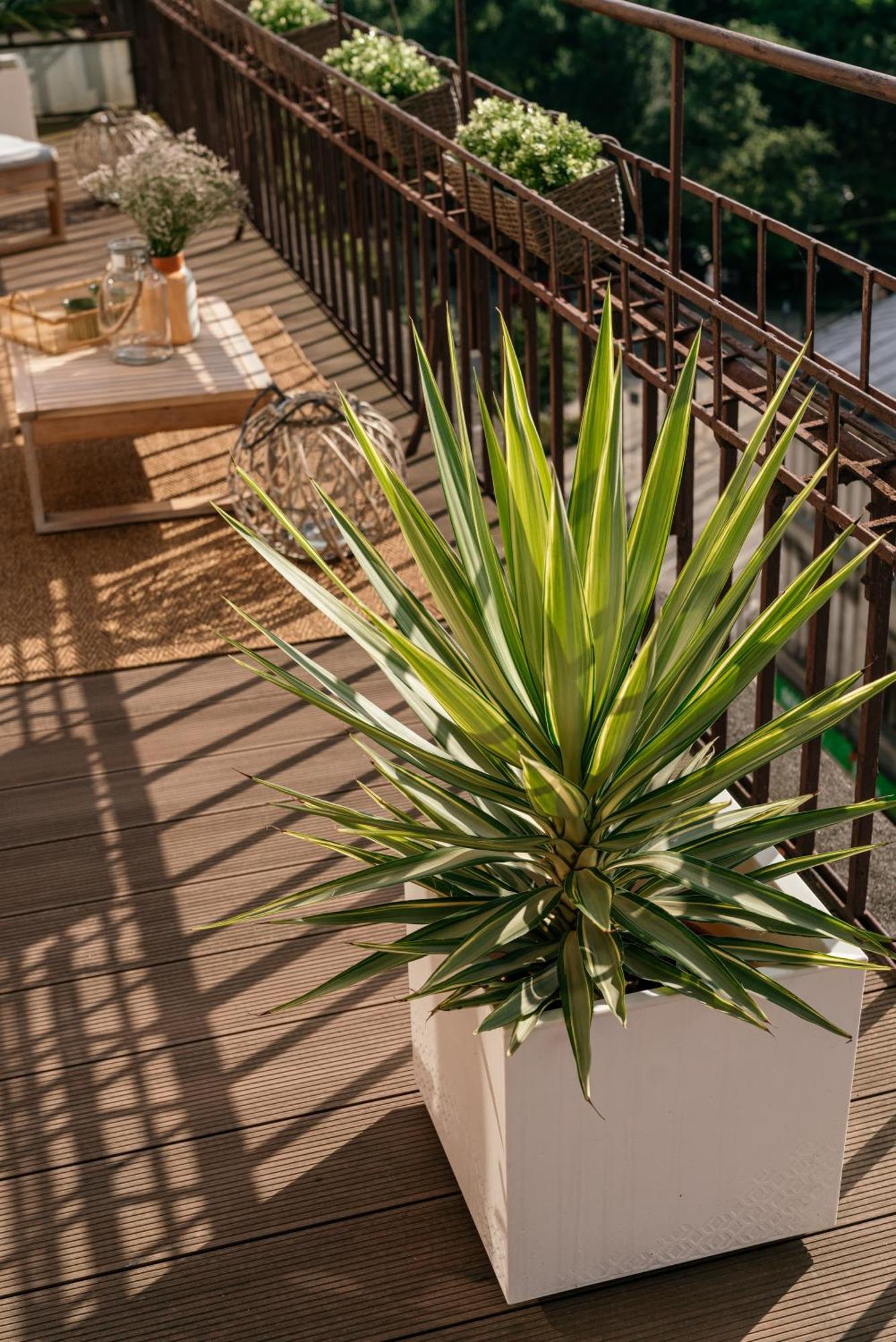 Penthouse Panorama - Loftaffair Apartment Krakow Exterior photo